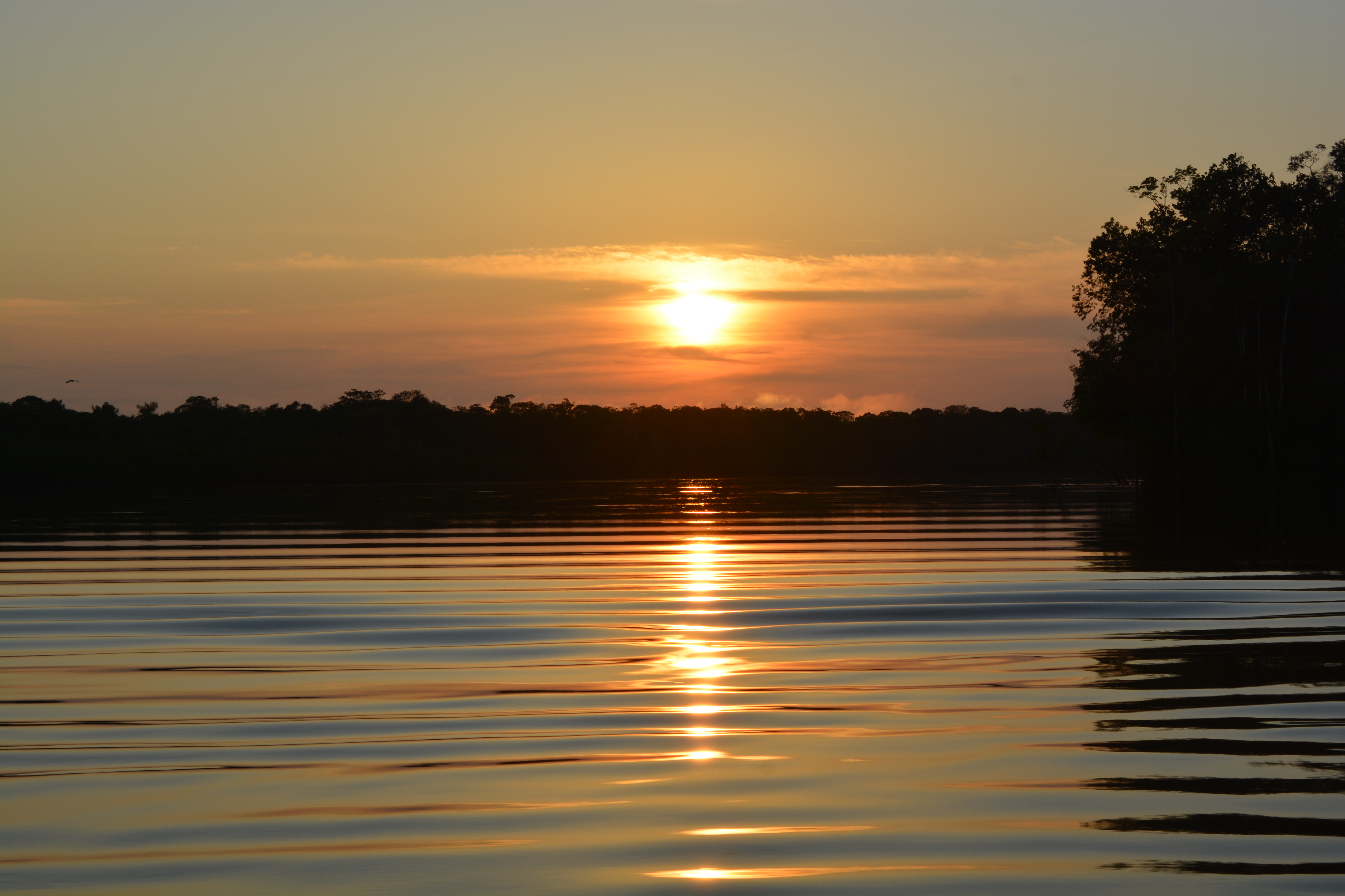 Pesca en Amazonas